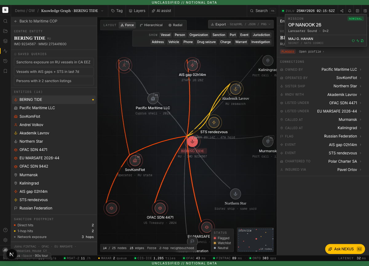 Knowledge graph view with resolved entity nodes and their relationships